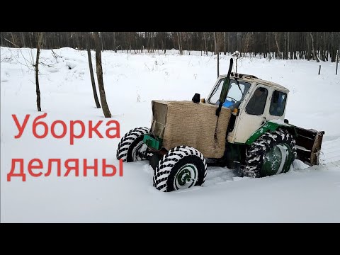 Видео: Поехали в лес на ЮМЗ с пвм. Уборка деляны