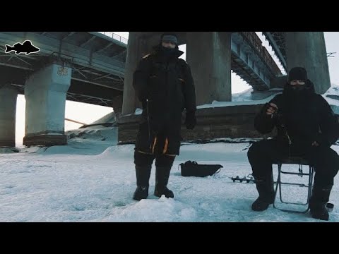 Видео: Судака на вибы бердский залив