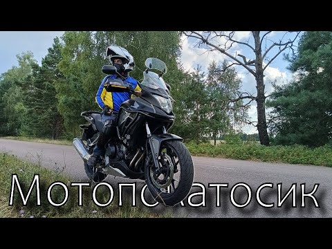 Видео: Авторинок в Житомирі