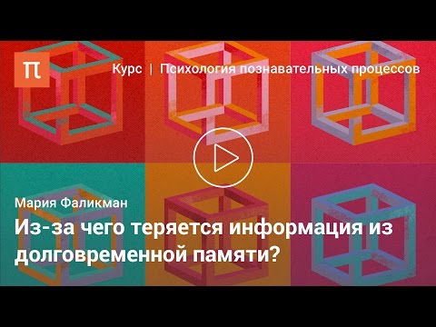 Видео: Модели памяти в когнитивной психологии - Мария Фаликман