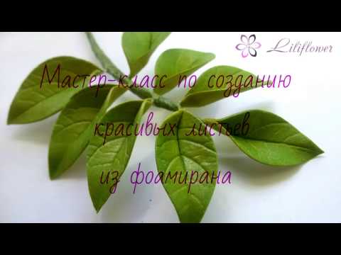Видео: Мастер-класс по созданию красивых листьев из фоамирана