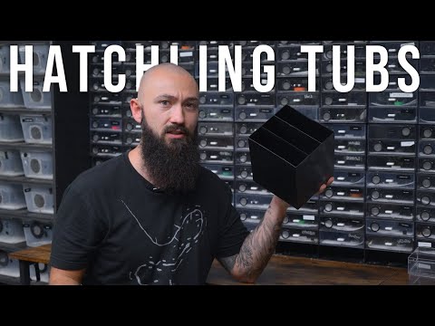 Видео: Маленькие ванночки для маленьких бананоедов!