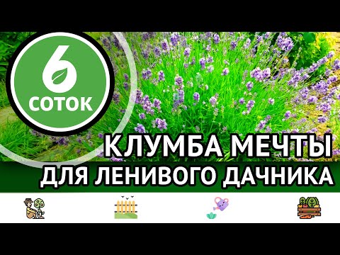 Видео: Клумба мечты для ленивого дачника. 6 соток 10.07.2023