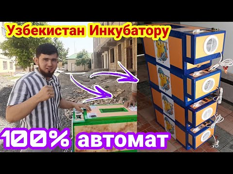 Видео: Аккумулятор менен иштеген инкубаторду уйронуп келдик. Акырына чейин корунуз