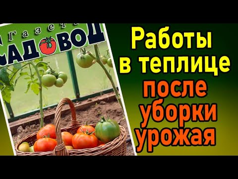 Видео: РАБОТЫ В ТЕПЛИЦЕ после уборки урожая