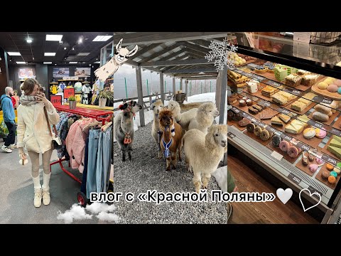 Видео: мой второй день рождения!!🤍Красная Поляна/шопинг/рестораны💋