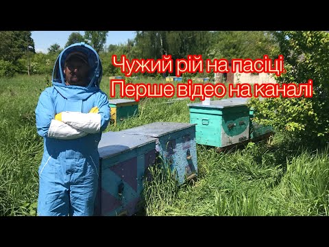 Видео: ПРИЛЕТІВ ЧУЖИЙ РІЙ! ПЕРШЕ ВІДЕО НА ЮТУБ!