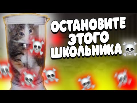 Видео: КОТ В БЛЕНДЕРЕ - УЖАСЫ ИНТЕРНЕТА