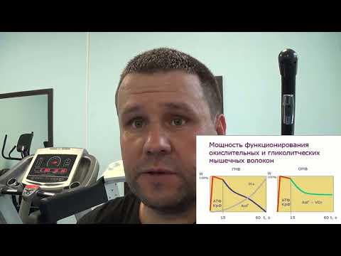 Видео: Будешь бить как конь копытом.Научный подход.