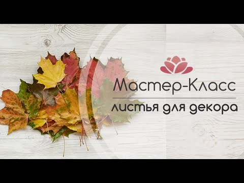 Видео: Как сохранить осенние листья в воске