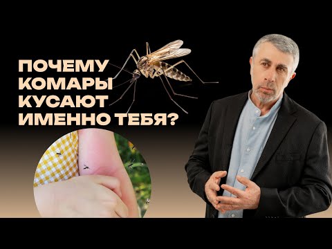 Видео: Кого любят комары? Как стать невкусным..