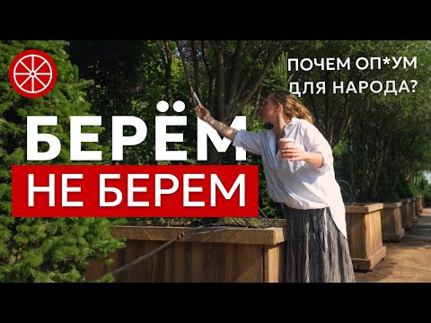 Видео: Берем не берем | Как выбрать растения для сада?