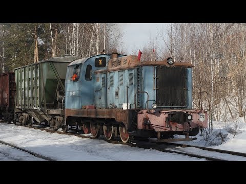 Видео: Живой раритет. ТГМ1 1470 делает манёвры на подъездном пути от станции Очаково.