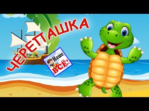 Видео: ЧЕРЕПАШКА Чок-чок. Мульт-песенка, видео для детей. Наше всё!