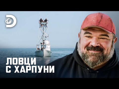 Видео: Кой е ключът към успешния сезон? | Ловци с харпуни