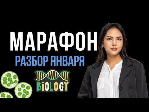Видео: Марафон: Разбор январского ЕНТ по биологии 2