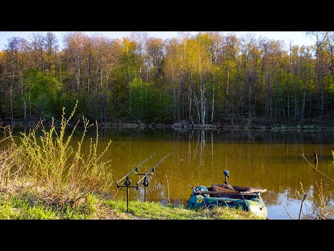 Видео: ЛУЧШИЕ МОМЕНТЫ С РЫБАЛОК 2023 ГОДА. Новая рубрика и Конкурс!