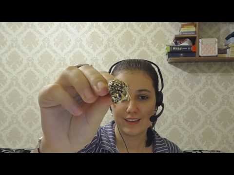 Видео: Влияние колец на энергетику человека  Значение планет и пальцев рук