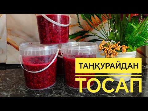 Видео: ТАҢҚУРАЙДАН ҚАЙНАТПАЙ ТОСАП ДАЙЫНДАУ