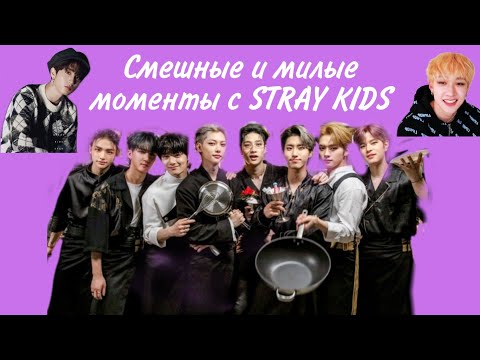 Видео: Смешные и милые моменты с STRAY KIDS 2 часть