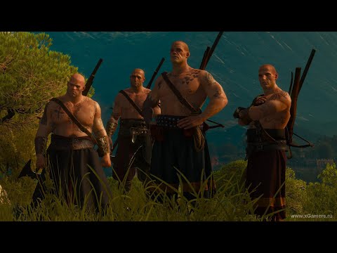 Видео: Гвинт. Хроники