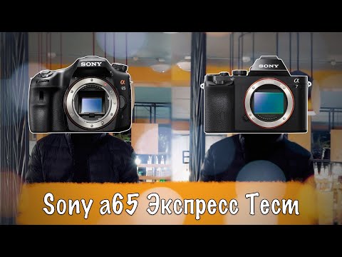 Видео: #012 📸 SONY a65 - ТЕСТ В 2020-М 🧐
