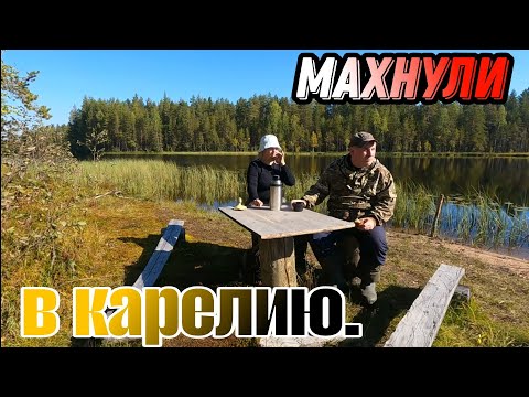 Видео: Махнули в КАРЕЛИЮ. СБОР ГРИБОВ. Поиски РЫБЫ.