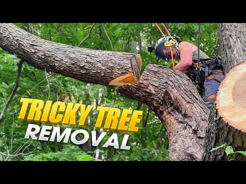 Видео: Работа краном + дерево в гараже = один сумасшедший день! Футболки уже здесь!