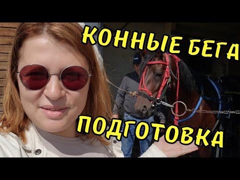 Видео: Наездники, рысаки и подготовка чемпионов. КОННЫЕ БЕГА 2023 на Кубок Главы Чувашии в Новочебоксарске.