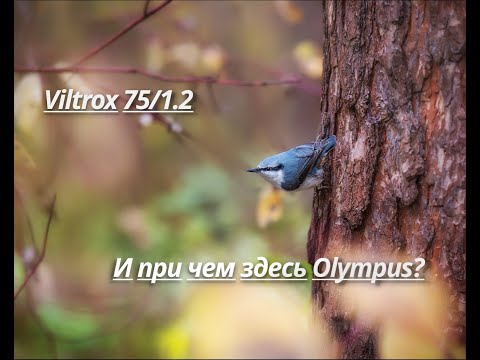 Видео: Viltrox 75/1.2 и при чем здесь Olympus?