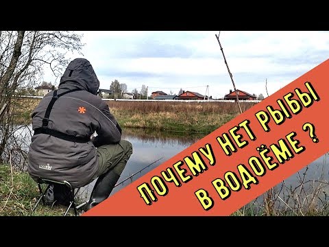 Видео: Почему нет рыбы в твоём озере или реке. Кто в этом виноват??