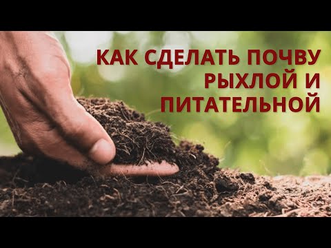 Видео: Как повысить плодородие почвы, чтобы почва стала питательнее чем чернозём?!