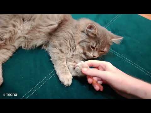 Видео: 30 октября 2025 г.