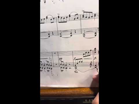 Видео: Э. Григ «Кобольд» ор.71#3 Пианистическая кухня