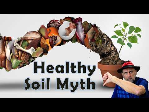 Видео: Забудьте о здоровье почвы в горшках и контейнерах — миф о здоровой почве