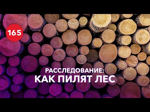 Видео: Как происходит лесозаготовка? Вырубка леса - это экологично?