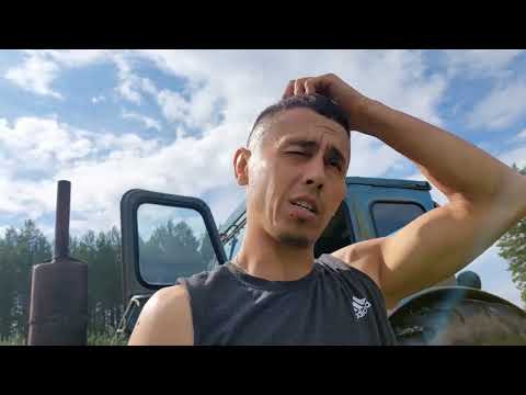 Видео: Покос, трактор т40 🚜 и безпальцевая коса 😱😱