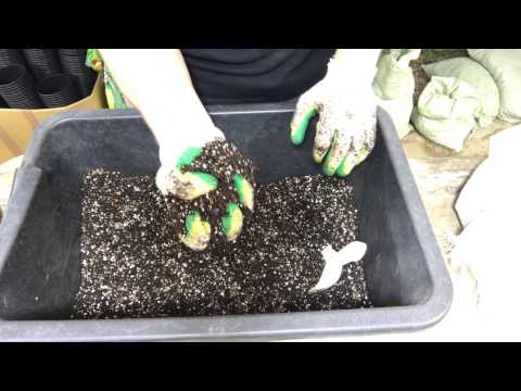 Видео: Торфяной грунт для суккулентов