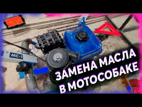 Видео: Замена масла в мотособаке (Нева МС1-ZS)