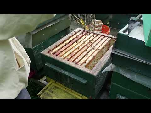 Видео: ПЕРВОЕ ВЫРАВНИВАНИЕ СЕМЕЙ