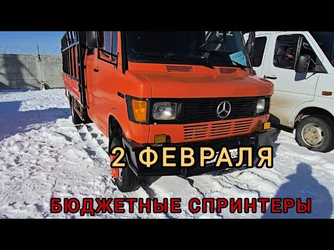 Видео: Авторынок Бишкека на 2 февраля. Бюджетные спринтеры