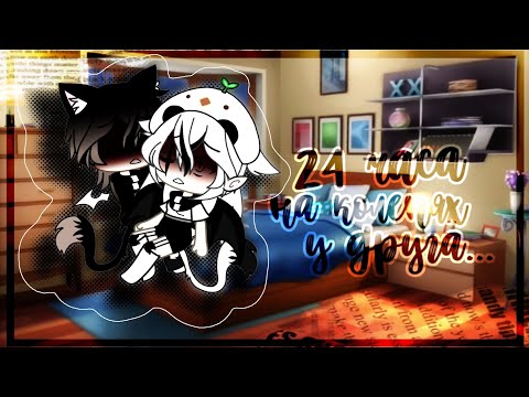 Видео: ♡︎24 часа на коленях у ЛД...♡︎Шипер в студии♡︎