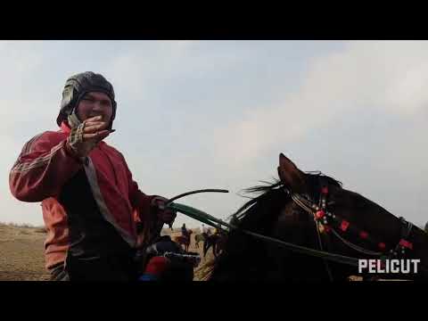 Видео: Кокпар 19.02.2023