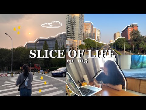 Видео: SLICE OF LIFE || последние дни каникул, первые дни учебы в китайском универе