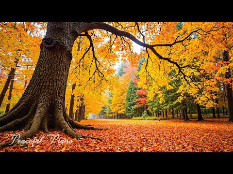 Видео: Успокаивающая фортепианная музыка 🍁 Успокаивающая осенняя мелодия для исцеления души, комфорта и эм