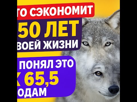 Видео: 7 мифов об успешном успехе