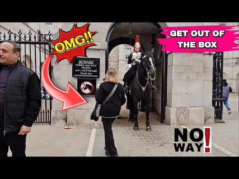 Видео: Ого… ВЫБИРАЙТЕСЬ ИЗ КОРОБКИ! Королевская гвардия дважды отчитала леди!
