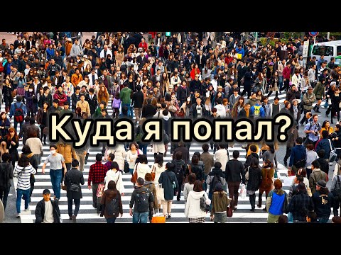 Видео: Дайте мне отдельную планету!
