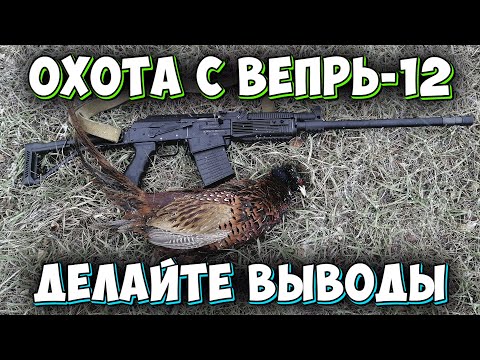Видео: Охота с ВЕПРЬ-12. МНОГО ЗАЙЦА. Охота на зайца. Охота на фазана. Ужасные промахи. Охота 2019.