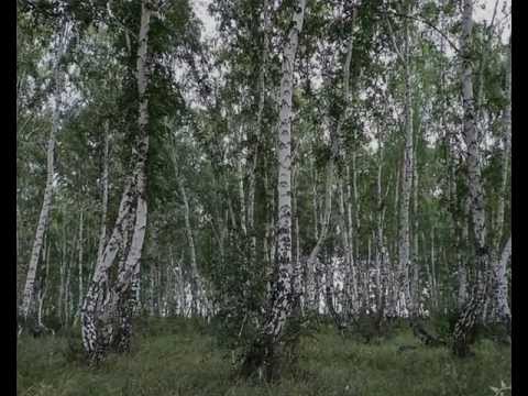 Видео: ЗНАМЕНКА---АЛТАЙ ролик смонтирован О,ПАХОМОВА, БЕРЛИН